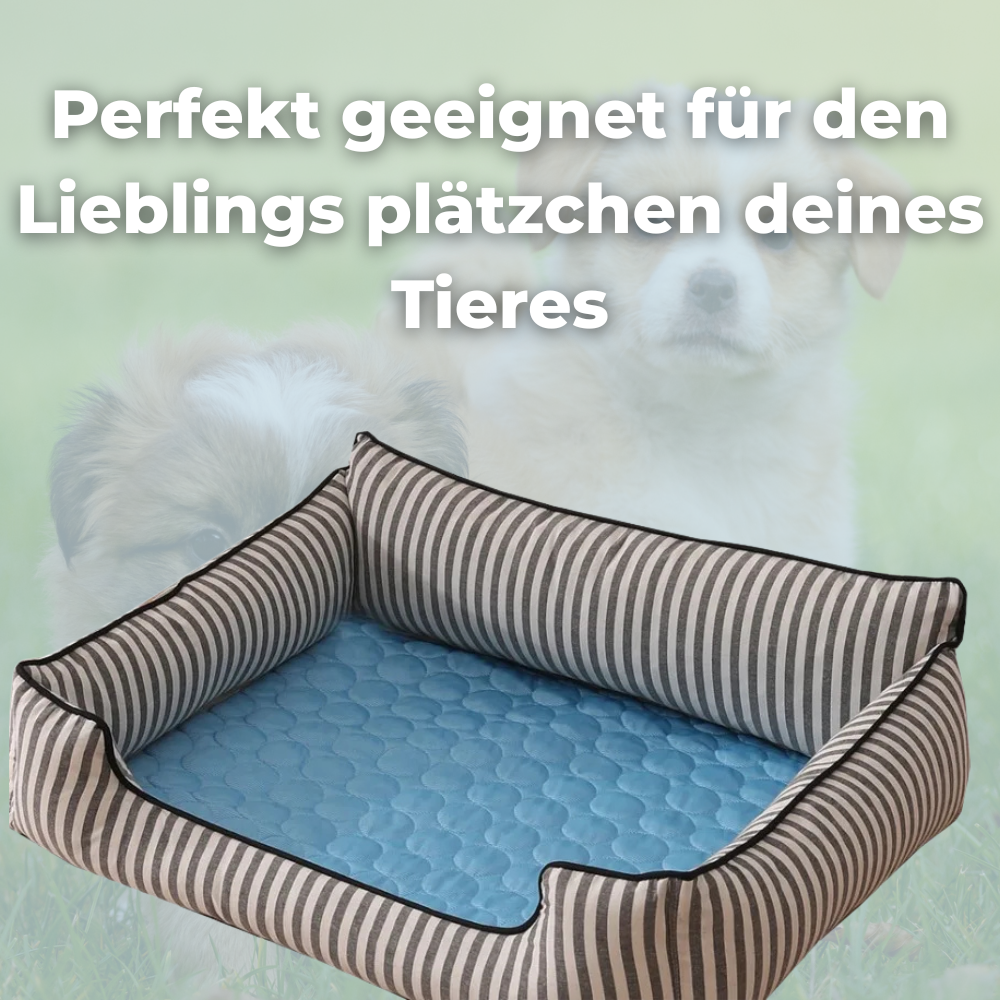 ChillPaws™